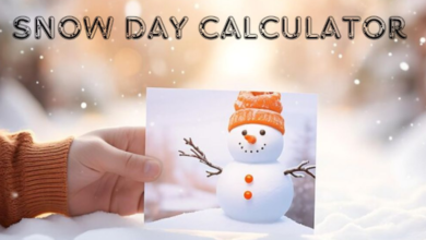 Snow Day Calculator